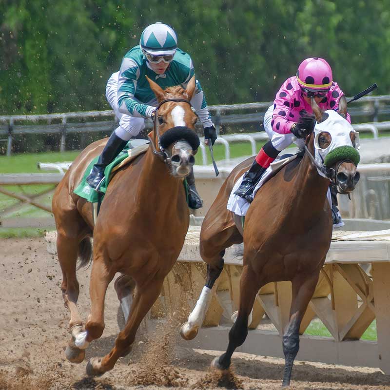 Kentucky Derby Horses racing at Churchill Downs